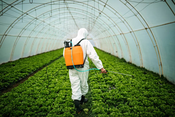 Best Best Pest Control Companies  in Wtmore Village, HI