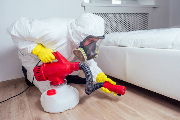Best Wasp Removal Services  in Wtmore Village, HI