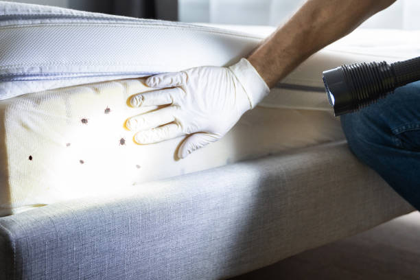 Best Best Pest Control Companies  in Wtmore Village, HI