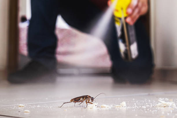 Best Affordable Pest Control Services  in Wtmore Village, HI