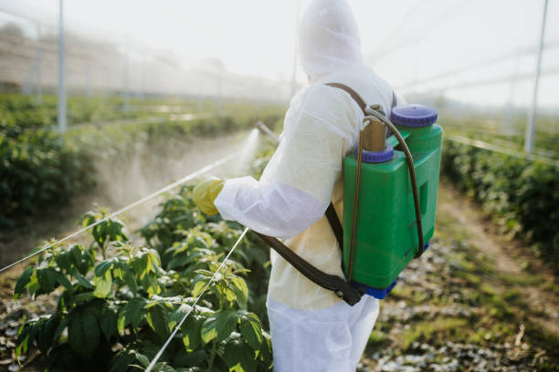  Wtmore Village, HI Pest Control Pros